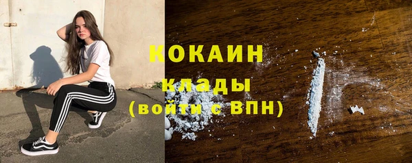 МДПВ Протвино