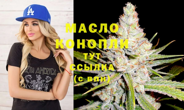 МДПВ Протвино